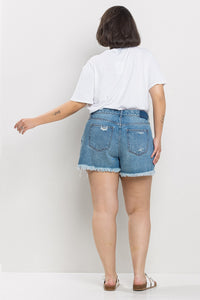 Daytime Dreamin' Distressed Shorts - curvy
