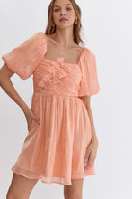 Penelope Peach Iridescent Dress